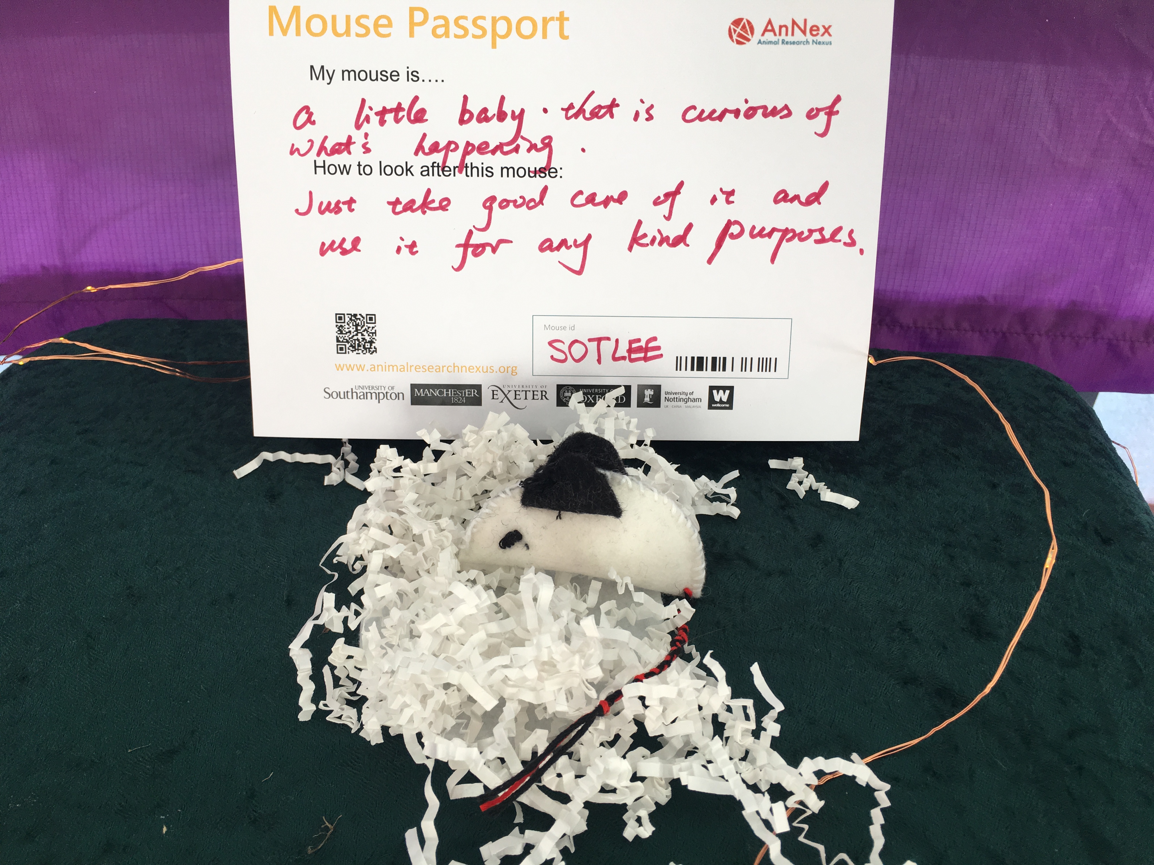 Mouse passport with the instructions - use it for any kind purposes